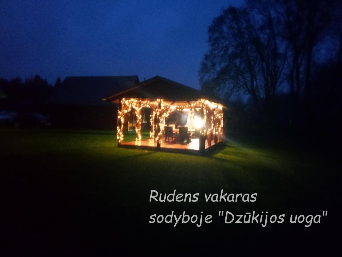 Affittacamere Dzukijos Uoga Virsurodukis Esterno foto